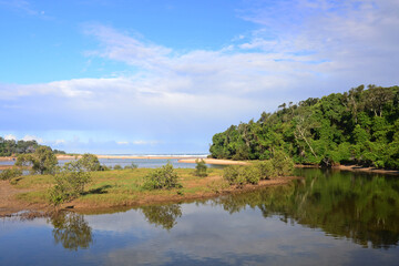 Fototapeta na wymiar Moonee Creek, Coffs Harbour, Australia