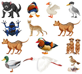 Naklejka premium Different kinds of animals collection