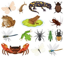 Different types of bugs and animals