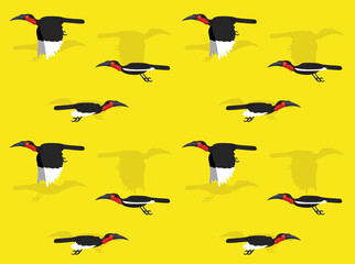 Bird Southern Ground Hornbill Animation Seamless Wallpaper Background