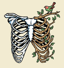natural human bones illustration