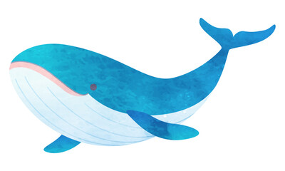 クジラのベクターイラスト