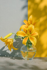 Lily in vase against gray and yellow background with leaves shadows reflected on surface. Сombination of yellow and gray shades.