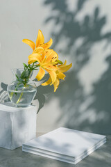 Lily in vase, blank hardcover book mockup template on gray background with leaves shadow.
