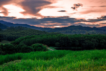 panoramic background of high mountain scenery, overlooking the atmosphere of the sea, trees and wind blowing in a cool blur, spontaneous beauty