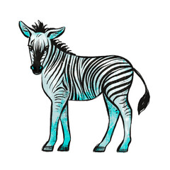 Fototapeta na wymiar Illustration in sketch style with zebra African animal