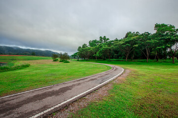 panoramic background of high mountain scenery, overlooking the atmosphere of the sea, trees and wind blowing in a cool blur, spontaneous beauty
