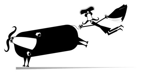 Poster Cartoon bullfighter and a bull isolated illustration. Cartoon long mustache bullfighter catches a running bull by tail black on white illustration © bigmen