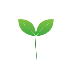 A seed of green leaf vector, micro green seed icon design and fresh natural green baby vegetable seed isolated item.