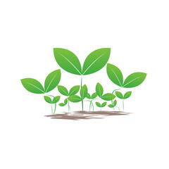 Fototapeta na wymiar GROUPs of green seed design used in plant logo and farm items template design, ecology green seed icon style, vector and illustration.
