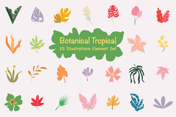 Botanical Tropical Illustration