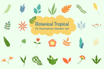 Botanical Tropical Illustration