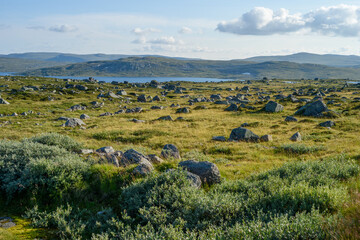 Hardangervidda, Norway