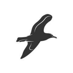 Silhouette Camar bird icon vector illustration design