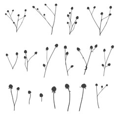 Boho fall illustration of dried plant for decoration, frame, backdrop, fabric print, retro textile, wallpaper, wedding card