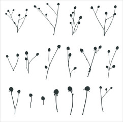 Boho fall illustration of dried plant for decoration, frame, backdrop, fabric print, retro textile, wallpaper, wedding card