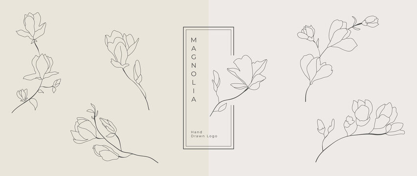 Wedding logo vector template. Botanical and floral logo element. Borders and dividers frame set. Hand drawn leaves branch, herb,flower, rose. Beauty and fashion frame design for logo and invitation.