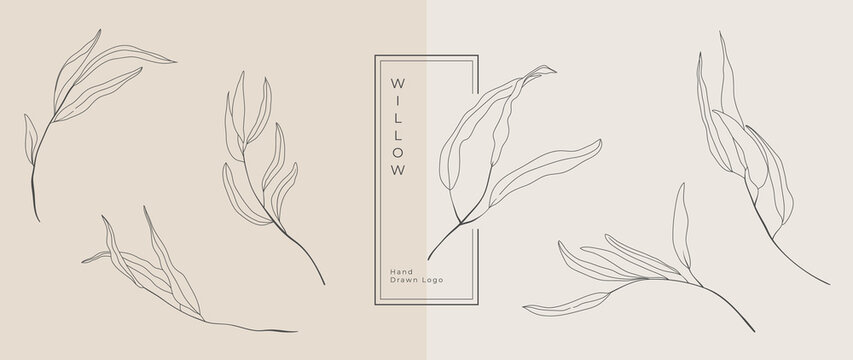 Wedding logo vector template. Botanical and floral logo element. Borders and dividers frame set. Hand drawn leaves branch, herb,flower, rose. Beauty and fashion frame design for logo and invitation.