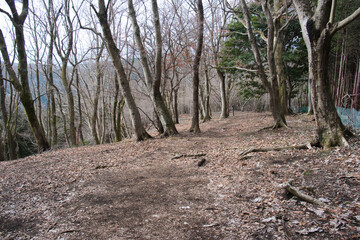 宮地山山頂の景色