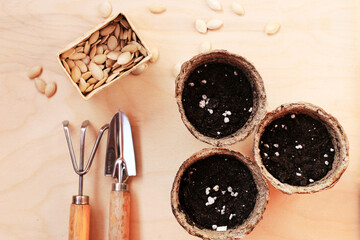 Peat pots with earth, a shovel and a rake for planting seeds