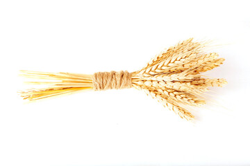 Sheaf of wheat ears isolated on white background.