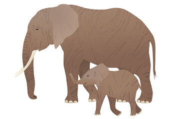 Elephant. Mother with her baby. Vector illustration isolated. - 494837569