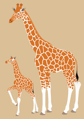 Mother giraffe with her baby. Vector illustration isolated. - 494837570