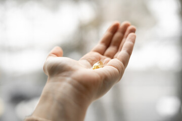 Omega 3 capsule in female hand on white and grey background