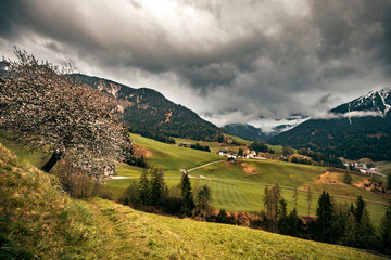 Obraz premium landscape in the mountains on a spring rainy day