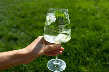 Glass with mint leaves and lime slices.
