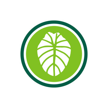 Elephant ear plant logo icon, alocasia leaf symbol