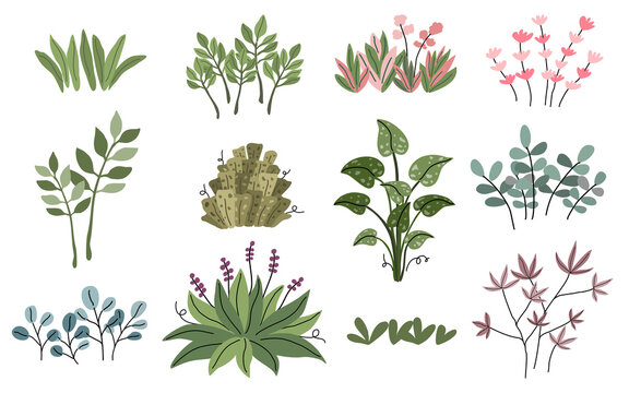 Plant and leaf vector collection in doodle style It can be adapted to a wide range of applications such as decorative cards, digital prints, home decorations, patterned paper, postcards, pillow 