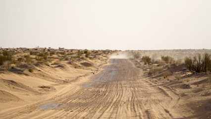 Yellow sand in the Sahara Desert at Douz in Tunisia.