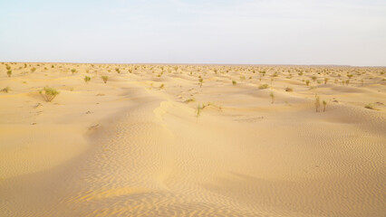 Yellow sand in the Sahara Desert at Douz in Tunisia.