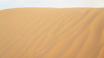 Yellow sand in the Sahara Desert at Douz in Tunisia.