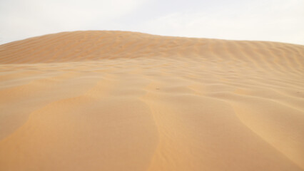 Fototapeta na wymiar Yellow sand in the Sahara Desert at Douz in Tunisia.