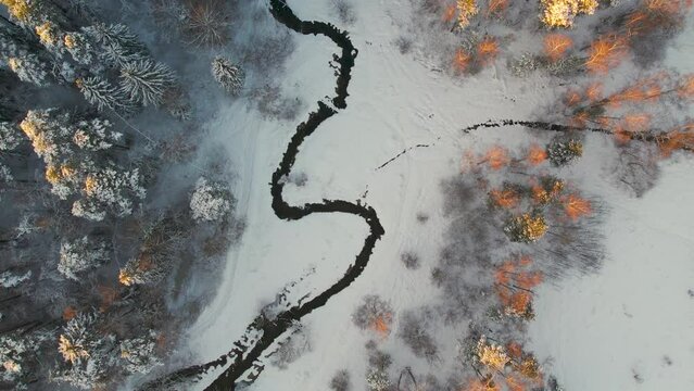 Unfrozen river in winter. Falling snow flakes. Winter coniferous white forest