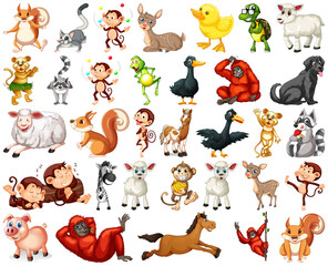 Fototapeta premium Set of animal cartoon character