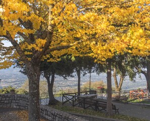 Castel San Pietro Romano scorci