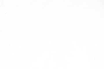 Abstract Background on isolated. Abstract white waves. Wave from Curtain. White wave background.