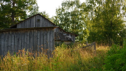 Beautiful rustic summer landscape. Old wooden log houses. Vologda region