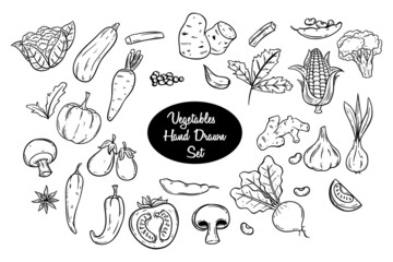 set of vegetables with hand drawing or doodle style on white background