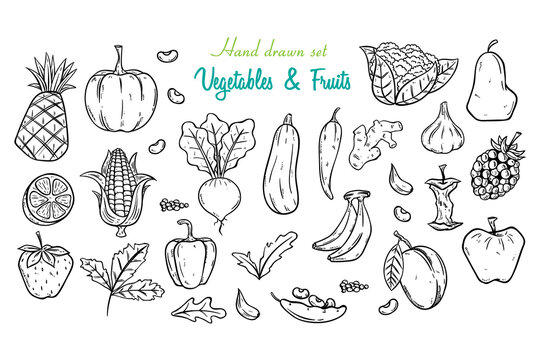 collection of vegetables and fruits with hand drawing or doodle style on white background