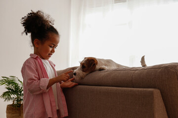 Little black girl playing with her friend, the adorable wire haired Jack Russel terrier puppy at home. Preschooler with rough coated pup on the couch. Interior background, close up, copy space.