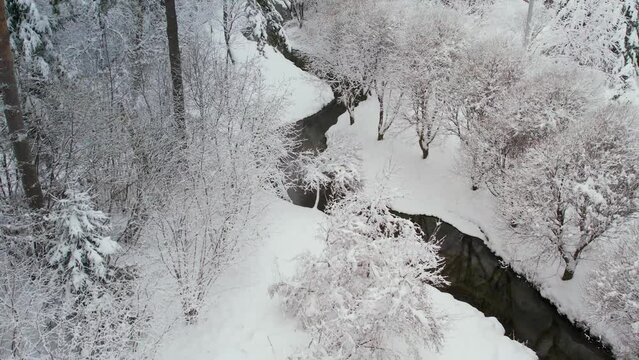 Unfrozen river in winter. Falling snow flakes. Winter coniferous white forest