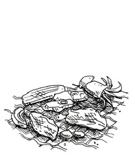 Barbecue grill over charcoal  meats squide and vegetable hot food hand black and white line drawing illustration