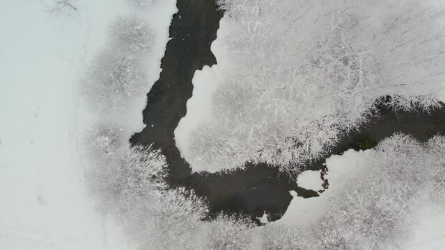 Unfrozen river in winter. Falling snow flakes. Winter coniferous white forest