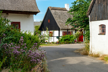 Fototapeta na wymiar Idyllischer Ort mit Fachwerkhaus und Reetdach in einer kleinen Dorfstraße in Dänemark im Sommer