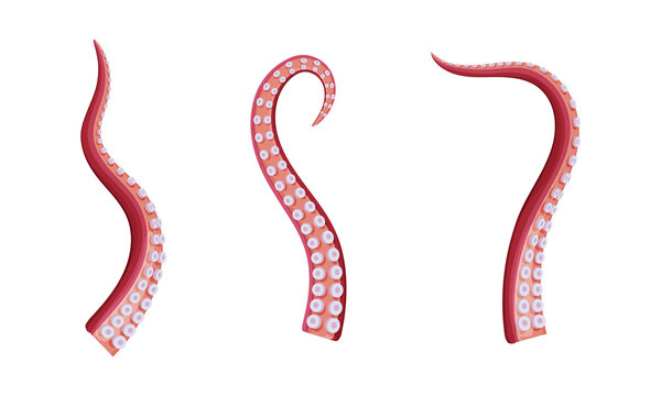 Octopus tentacles set, underwater marine creature body part cartoon vector illustration
