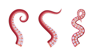 Fototapeta premium Octopus tentacles with suckers set cartoon vector illustration